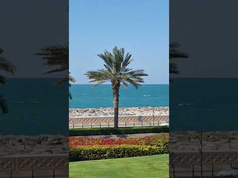 Palm Jumeirah, Dubai. #dubai #reels #shorts #beach