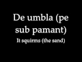 Rotting Christ - Cine iubeste si lasa [English Lyrics ...