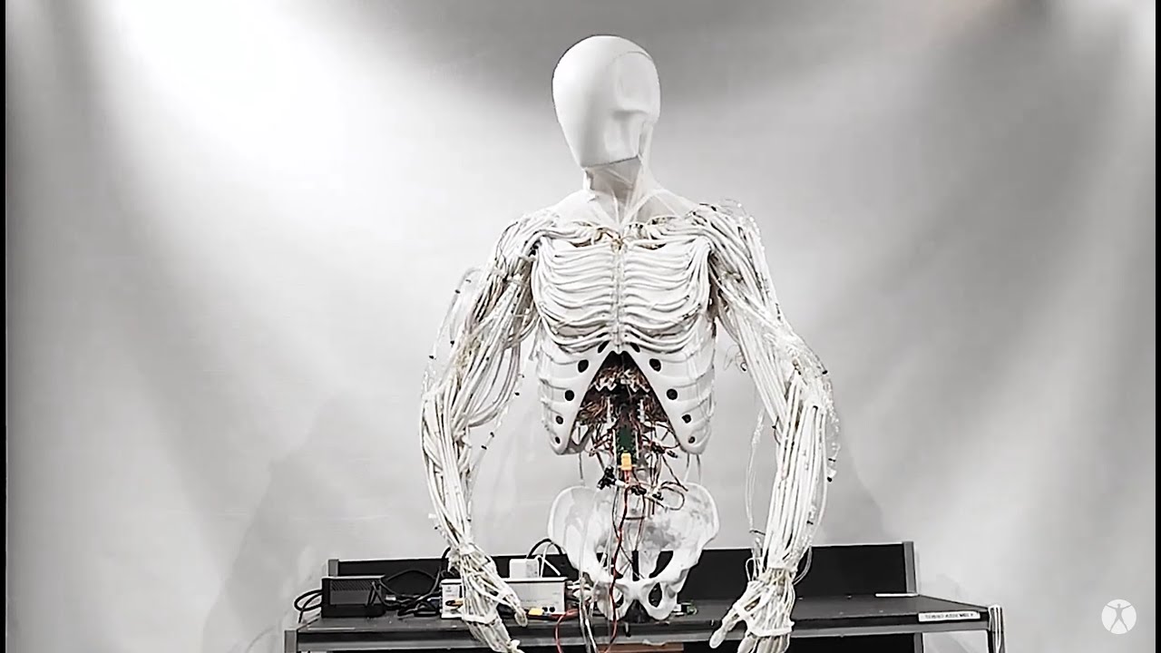 Torso by Clone | Two-handed Android with artificial muscles - YouTube
