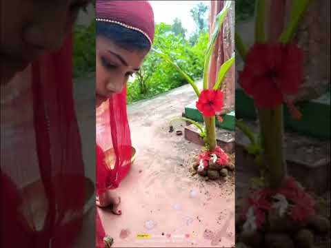 2nd Paali Khudurukuni Osa 🙏🙏 #youtubevdo# Dhanu's Maasi 🥰