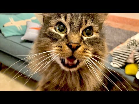 Eric’s advice: have a little of what you fancy 