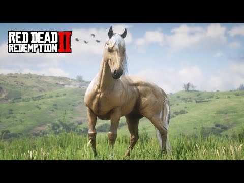 DOMANDO O CAVALO MAIS LINDO  -  SERA ESSE O MAIS BONITO? -  O Colecionador de Cavalos  -  ep 27