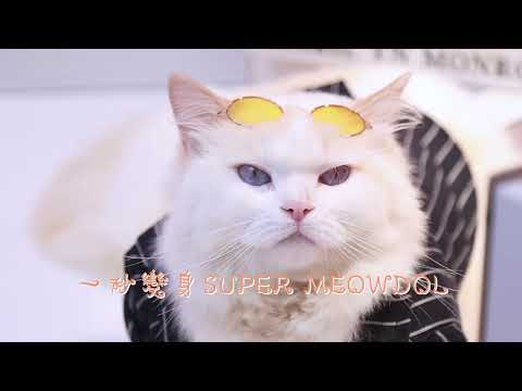 肉球世界 歪嘴貓主食罐 80g