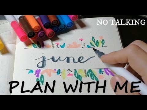 plan with me june 2020 | relaxing asmr | no talking | pen and pencil writing sounds