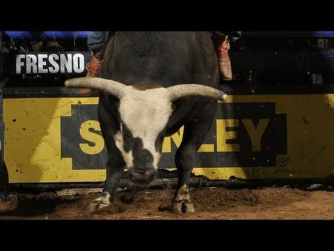 TOP BULL: Lightmaker's Rango takes care of Zack Brown (PBR)