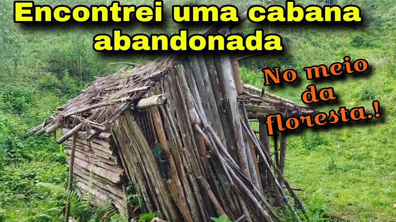 A PROCURA PELOS ANIMAIS .!! ELES FUGIRAM PRO LADO DO SÍTIO VISINHO