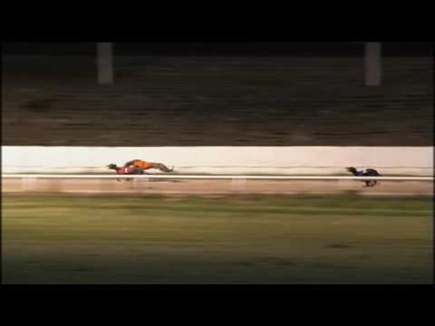 2017 RPGTV SCOTTISH DERBY - SHAWFIELD - 2ND SEMI - T5 DOROTAS WOO HOO