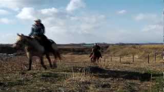 preview picture of video 'Horse Trail in Abashiri Hokkaido Japan　-No Name Ranch-'