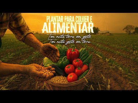 Samba de Enredo 2026