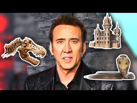 The Most Ridiculous Things Nicolas Cage Has Ever Bought