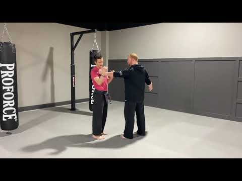 Single Lapel Grab with Punch