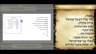 משניות כתובות פרק ד משנה ד