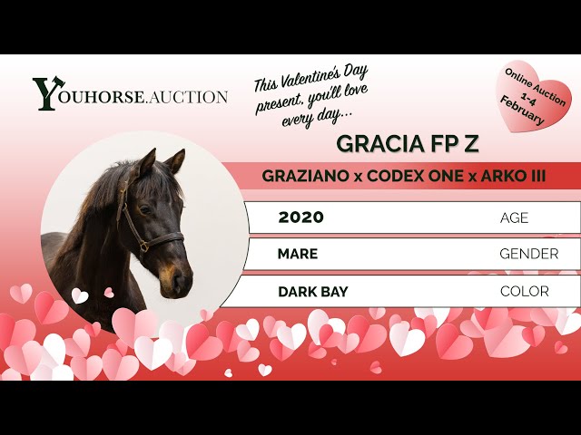 Gracia FP Z