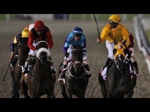 2010 Dubai Golden Shaheen G1 - Kinsale King (金城大王) - GK.Gomez
