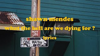 WHAT THE HELL ARE WE DYING FOR ? - Shawn Mendes (Lyrics)