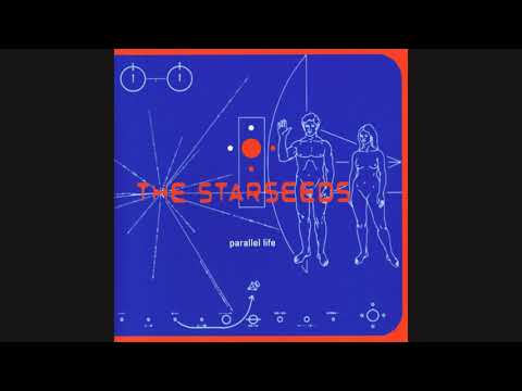 The Starseeds - Heavensairportcoffeeshoprestaurant