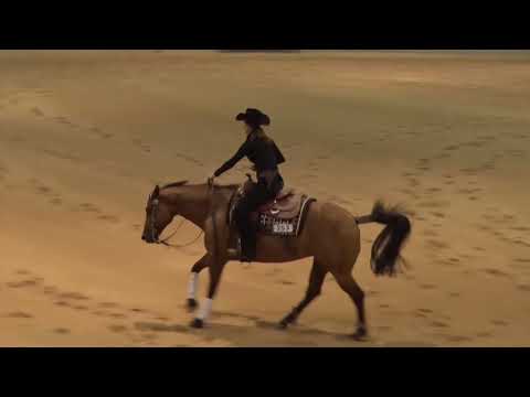 171105 Pamela Saunders on Royal Spook Green 1