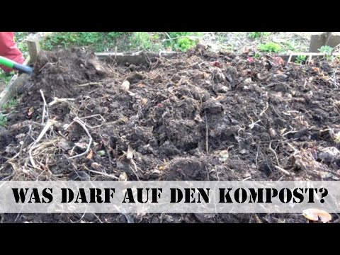 Welche Abfälle dürfen auf den Kompost – welche nicht?