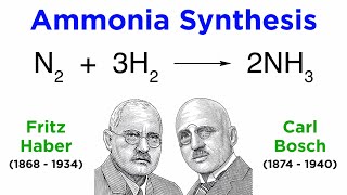 Download the video "The Haber-Bosch Process: Industrial Ammonia Synthesis"