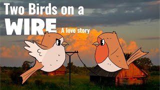 Two Birds On a Wire - Animated 