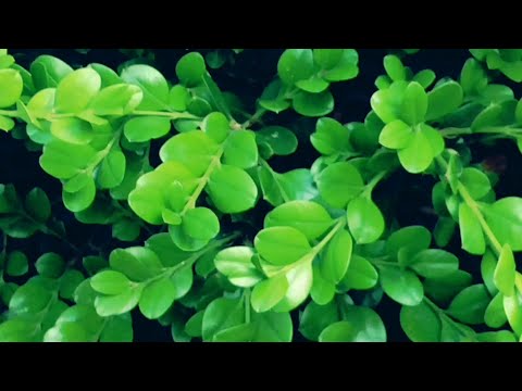 Let’s explore nature