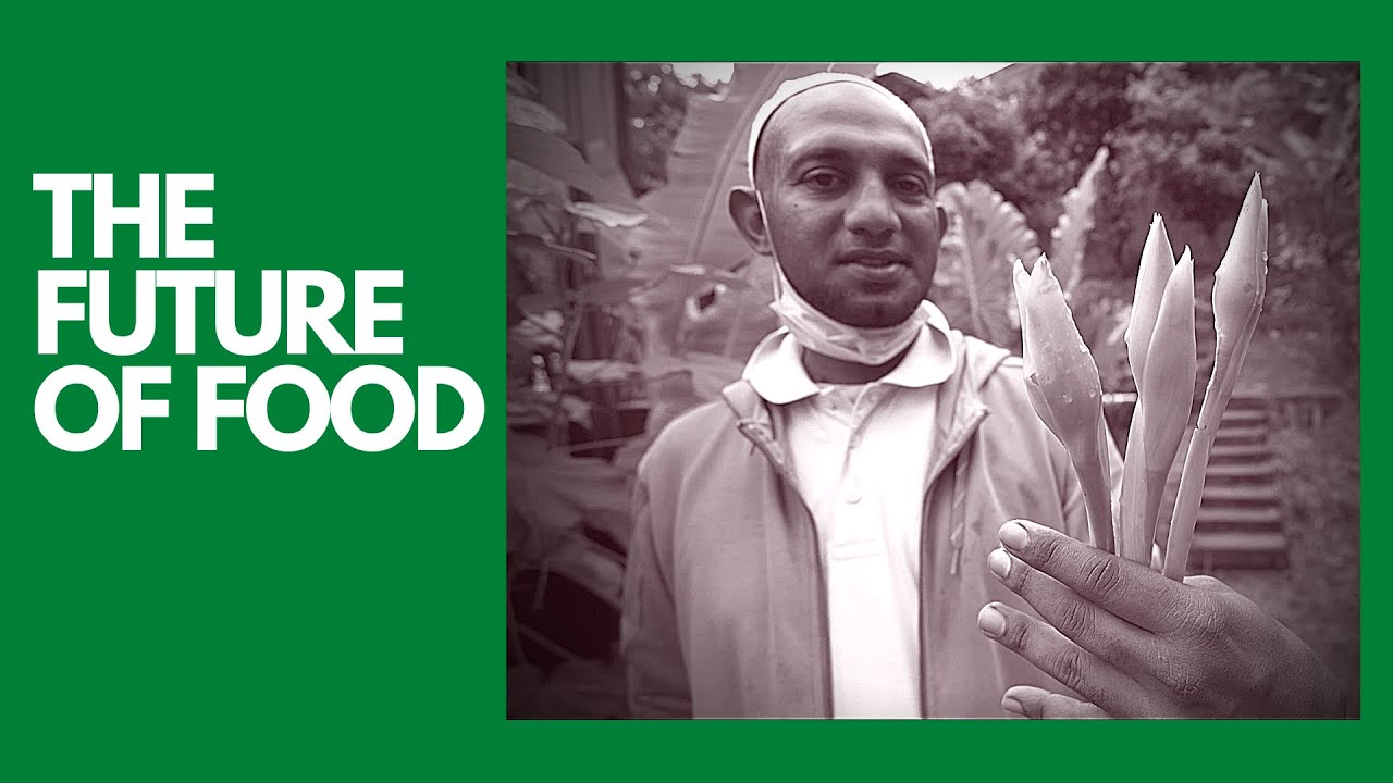 Urban Hijau Tour: The Secret of Organic Farming in Malaysia? | Terry Cooks