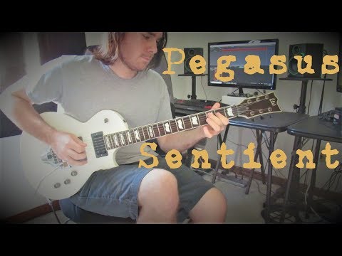 Seymour Duncan Pegasus/Sentient Pickup Set - Demo