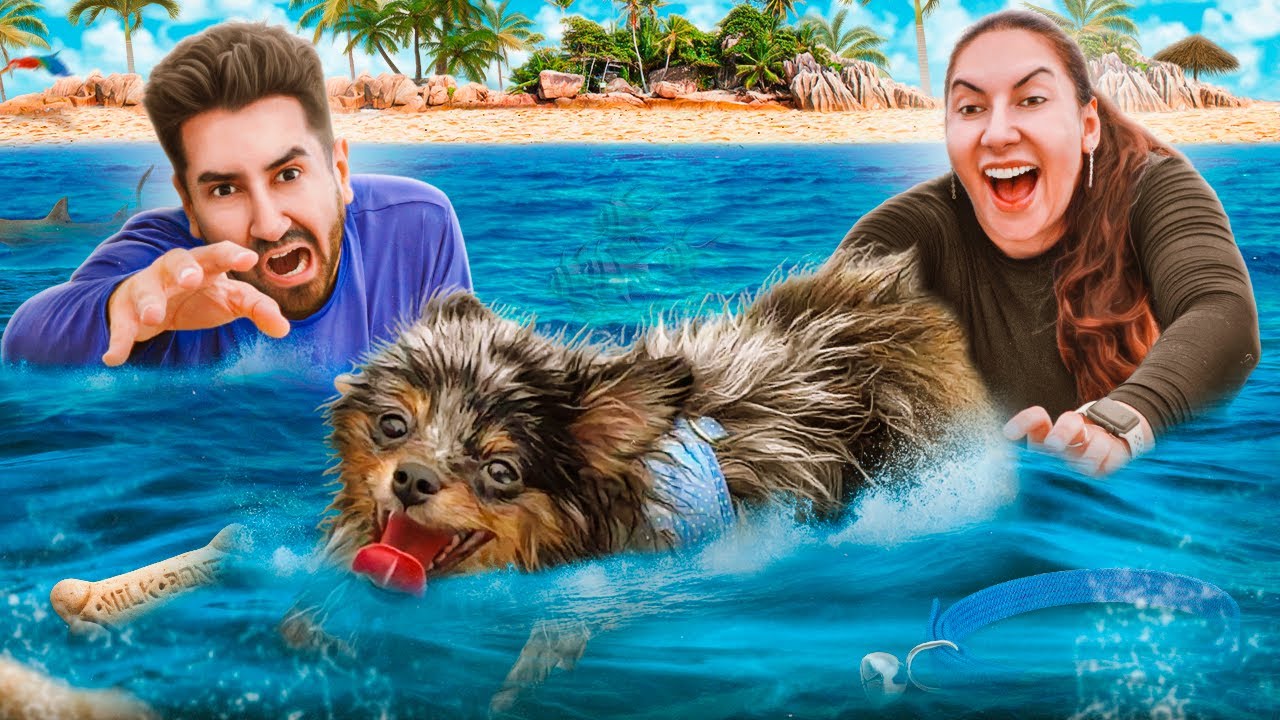 SOLTAMOS NOSSO MINI CACHORRO NA PRAIA *Arrependidos?*