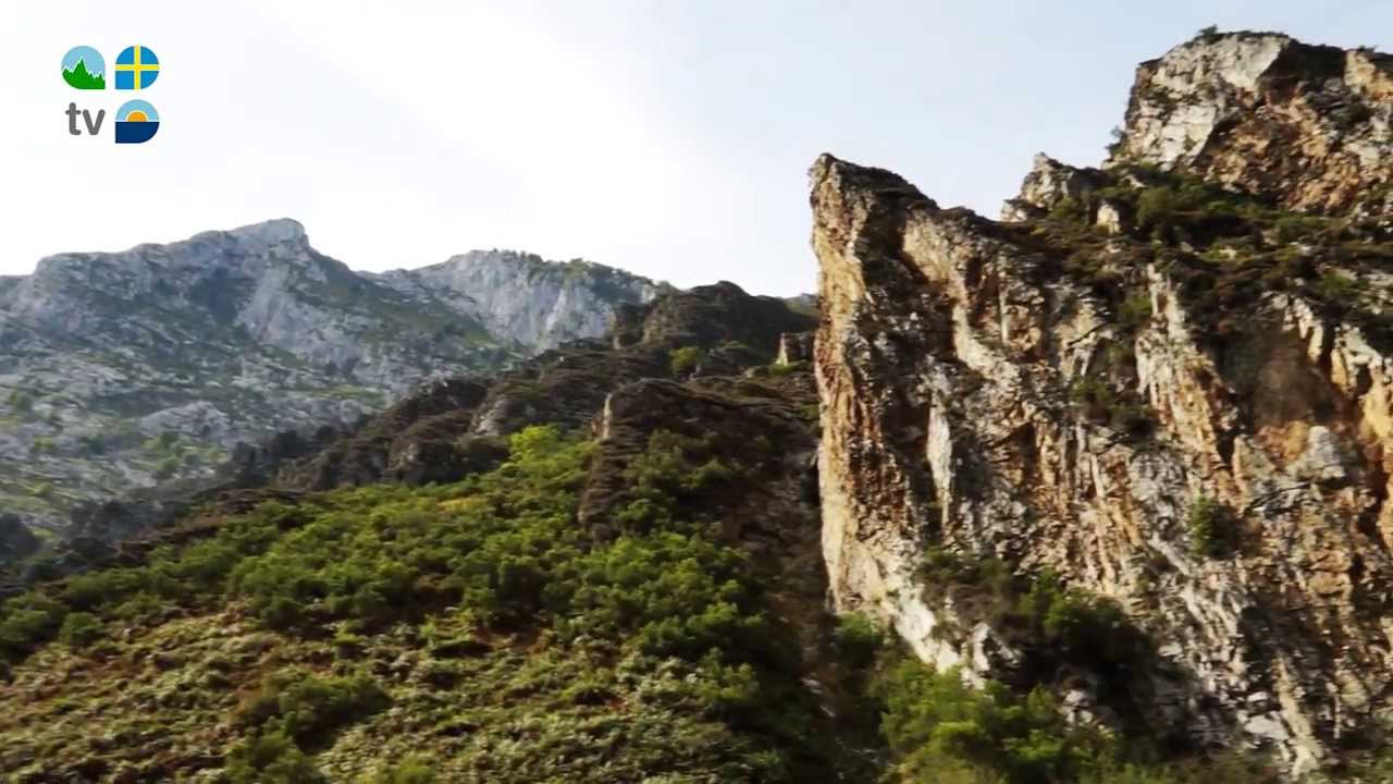 Disfruta de la belleza natural en el Arcea Hotel Mirador de Cabrales