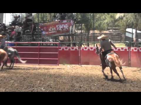 Resumen Coleadero de Samuel Bañuelos. Sábado 7 de Julio 2012