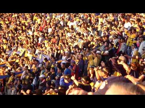 "Ever, Ever yo te quiero" Barra: Los del Cerro &bull; Club: Everton de Viña del Mar