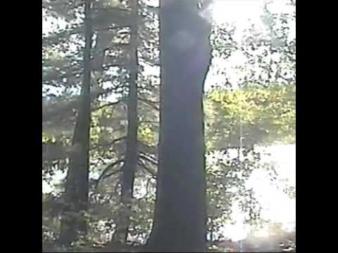 [15092701.01] YungJZAisDead - Dial Tone (ft. nothing,nowhere.)