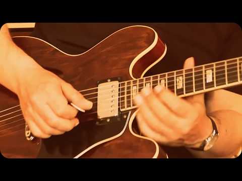 1972 Gibson ES-335, Part2