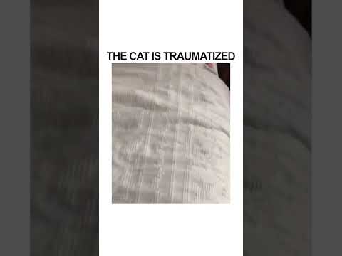 WHY WOULD SHE DO THAT 💀😭😱