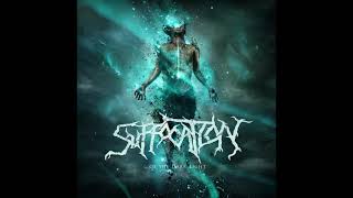 Suffocation - The Warmth Within the Dark