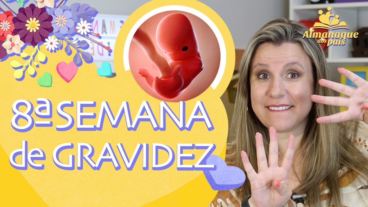 8ª SEMANA DE GESTAÇÃO | Sexo do Bebê, Tamanho feto, Corpo da Gestante | 1º TRIMESTRE DE GRAVIDEZ