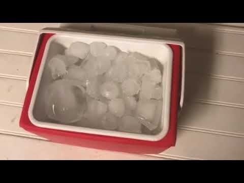 The Cooler Series: Minimate By Igloo