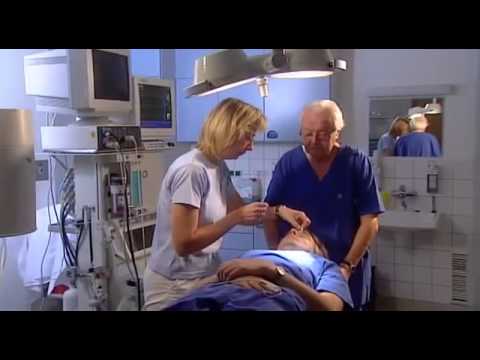 Das Delphi Syndikat - Die geheime Macht des Orakels Teil 2