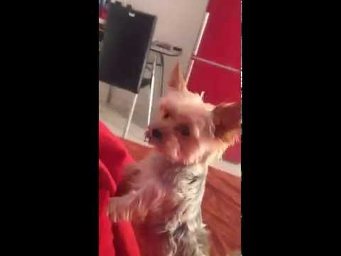 Klif [12-09-14][HD1080p][2]