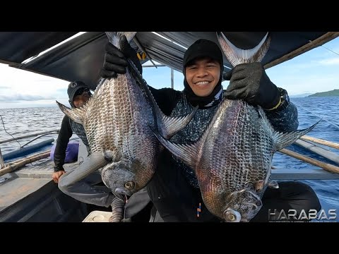 EP743-P1 - Pomfret Fish Deep Sea Fishing | Occ. Mindoro