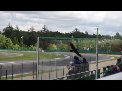 BOSS GP Brno 6.9.2015