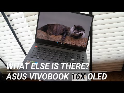 Who else can do this?! - Asus Vivobook 16X OLED Review