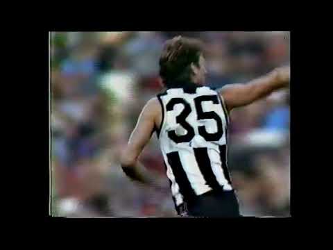 Peter Daicos Torp Goals 1980 - 87