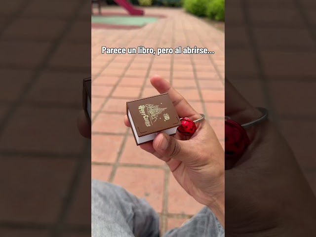 Vídeo relacionado con Harry Potter Camiseta para Mujer Hogwarts Multicolor Small