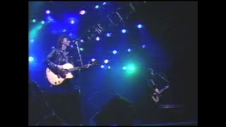 The Rembrandts - New King (Roskilde Festival 1991)
