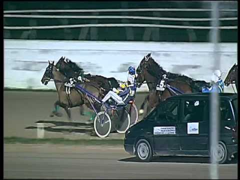 Trotto 17/12/2015 - 6° corsa