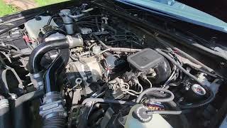 30-Years-Owned 1987 Buick Grand National Engine