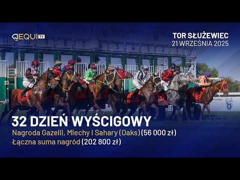 🐴 DZIŚ POZNAMY ARABSKĄ OAKSISTKĘ - wyścigi konne na żywo