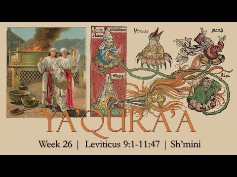 YA'QURA'A from the Paleo Hebrew | Torah Portions Week 26: LEVITICUS 9:1-11:47 Sh'mini