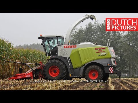 Maize harvest in the Dutch Veluwe woods | Claas Jaguar 940 | Case Puma | Mais hakselen | 2017
